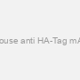 Mouse anti HA-Tag mAb